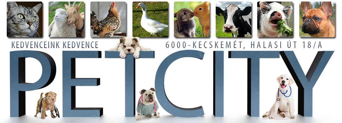 PetCity Állatorvosi Rendelő Kecskemét
